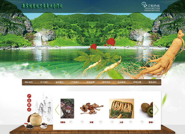 新賓林農林下參專業合作社